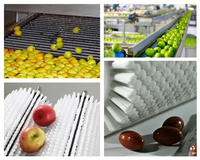 Industrial brush for Fruit Cleaning