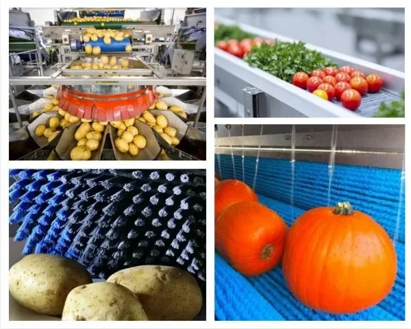 Vegetable Cleaning Brush Banner