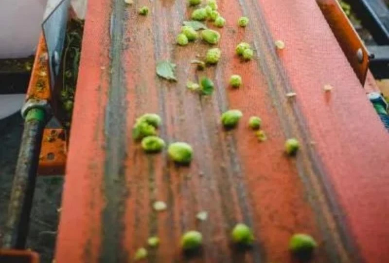 Still Troubled by Residue Build-Up on Conveyor Belts