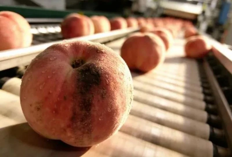 Pain points of fruit cleaning