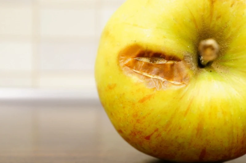 Struggling with Fruit Skin Damage or Bruising?