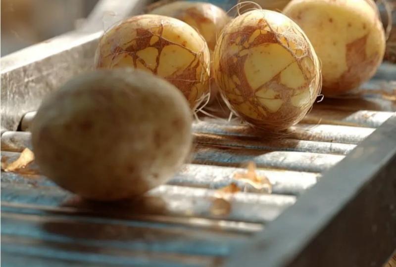 Still Struggling with High Vegetable Damage Rates