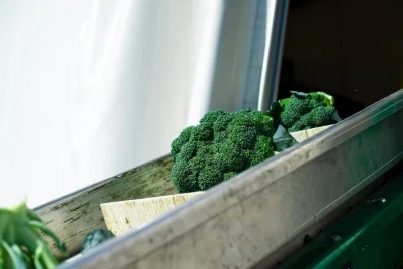 Still Facing Frequent Downtime Due to Brush Wear