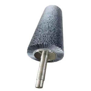 abrasive roller brush