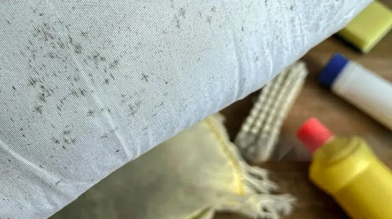 pain points of textile processing brushes