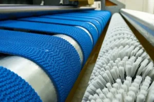 solution of conveyor belt brushes