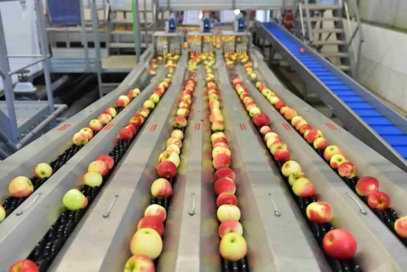 Industrial Brushware for fruit cleaning