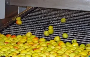 solution of fruit cleaning