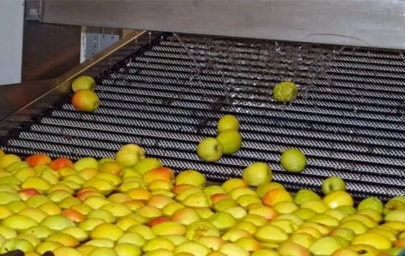 solution of fruit cleaning