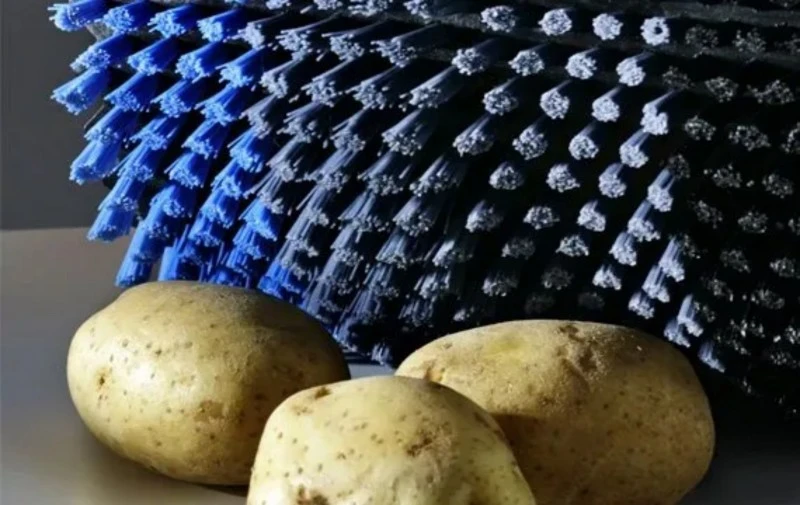 solution of vegetable cleaning