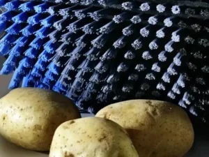 vegetable cleaning brushes