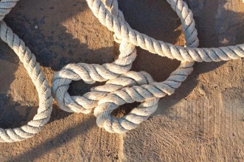 Industrial brushware for wire rope cleaning