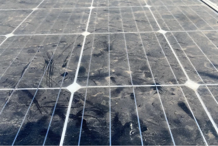 Still Struggling with Dust, Bird Droppings and Stains on Solar Panels