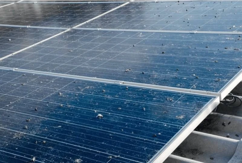 Still Facing Frequent Downtime Due to Brush Wear and Replacement