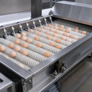 egg washing machine