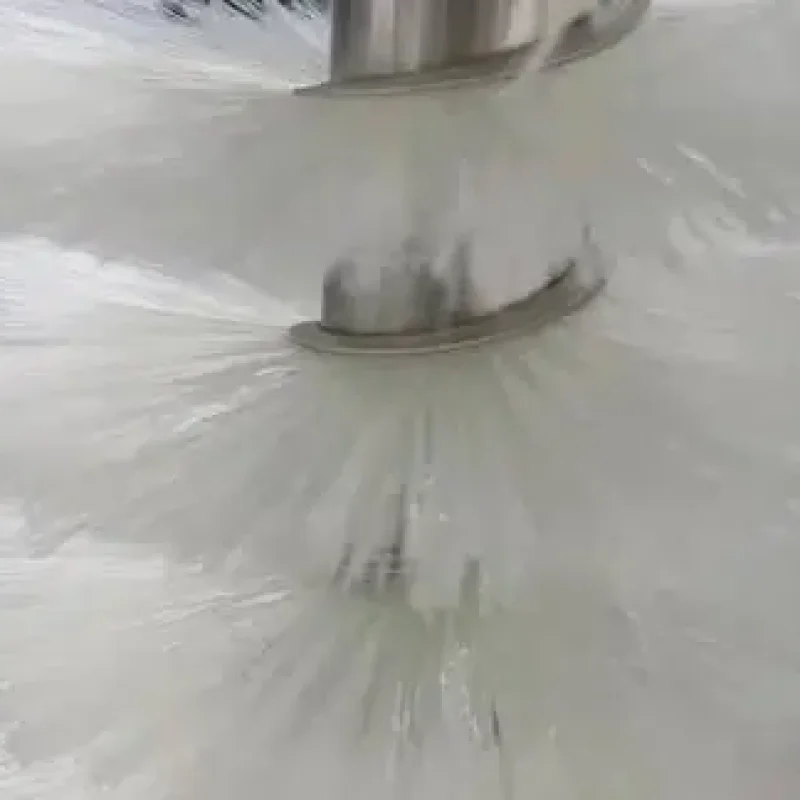 Capsule Polishing Brush