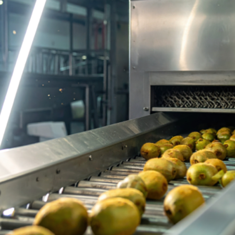 Industrial Brush for Fruit Cleaning