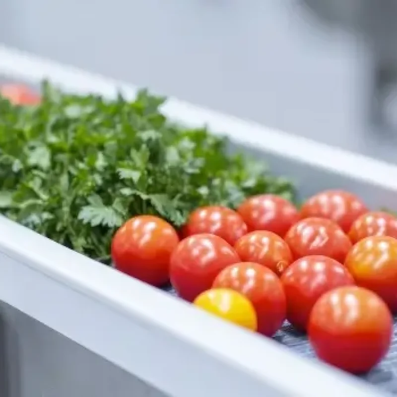 Vegetable Cleaning Brush