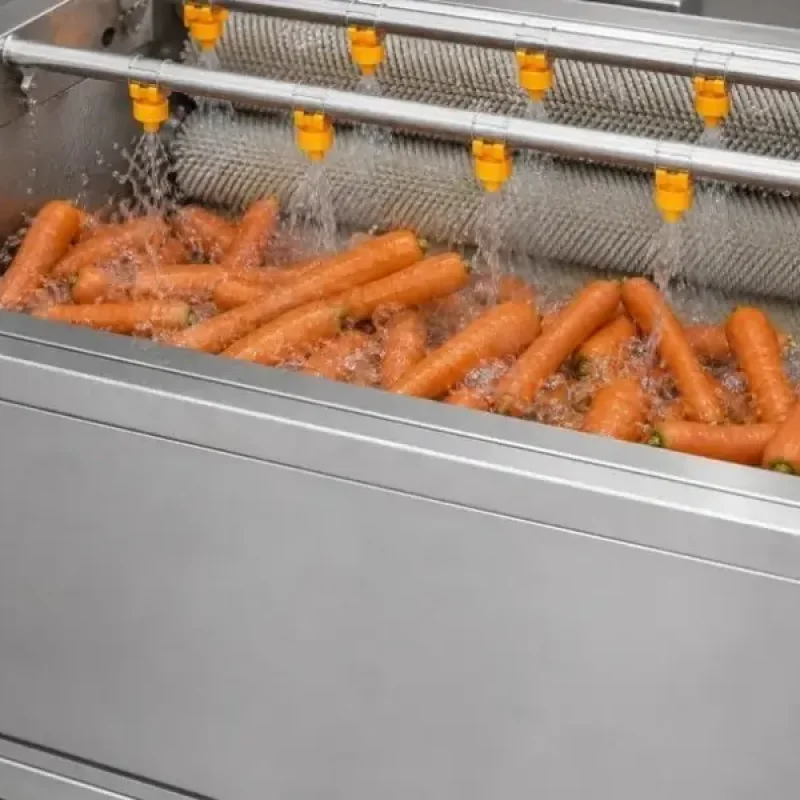 carrot washing machine
