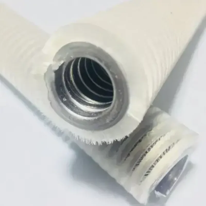 capsule polishing brush